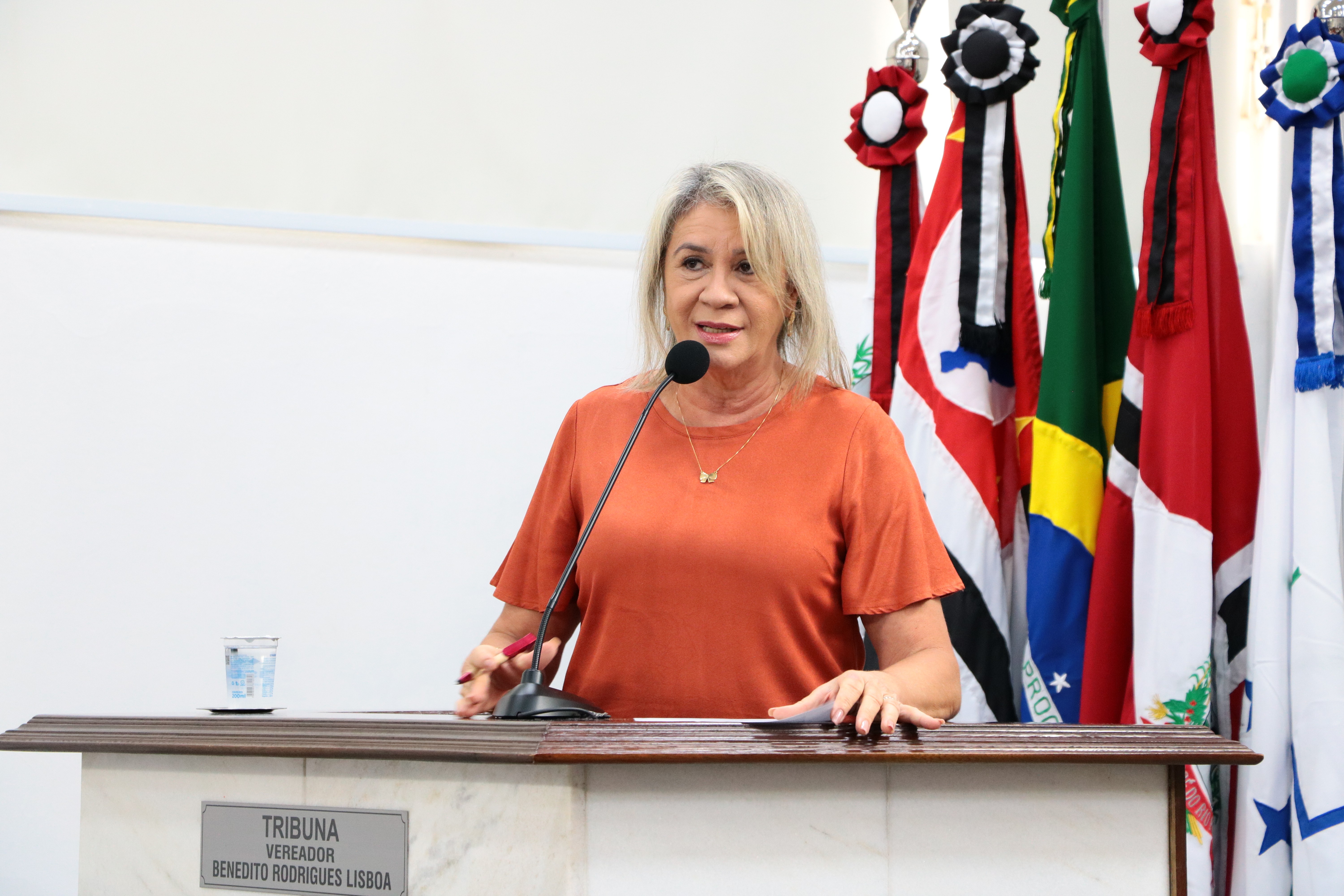 Vereadores aprovam criação de programa de Incentivo à Contratação de Mulheres em Situação de Violência