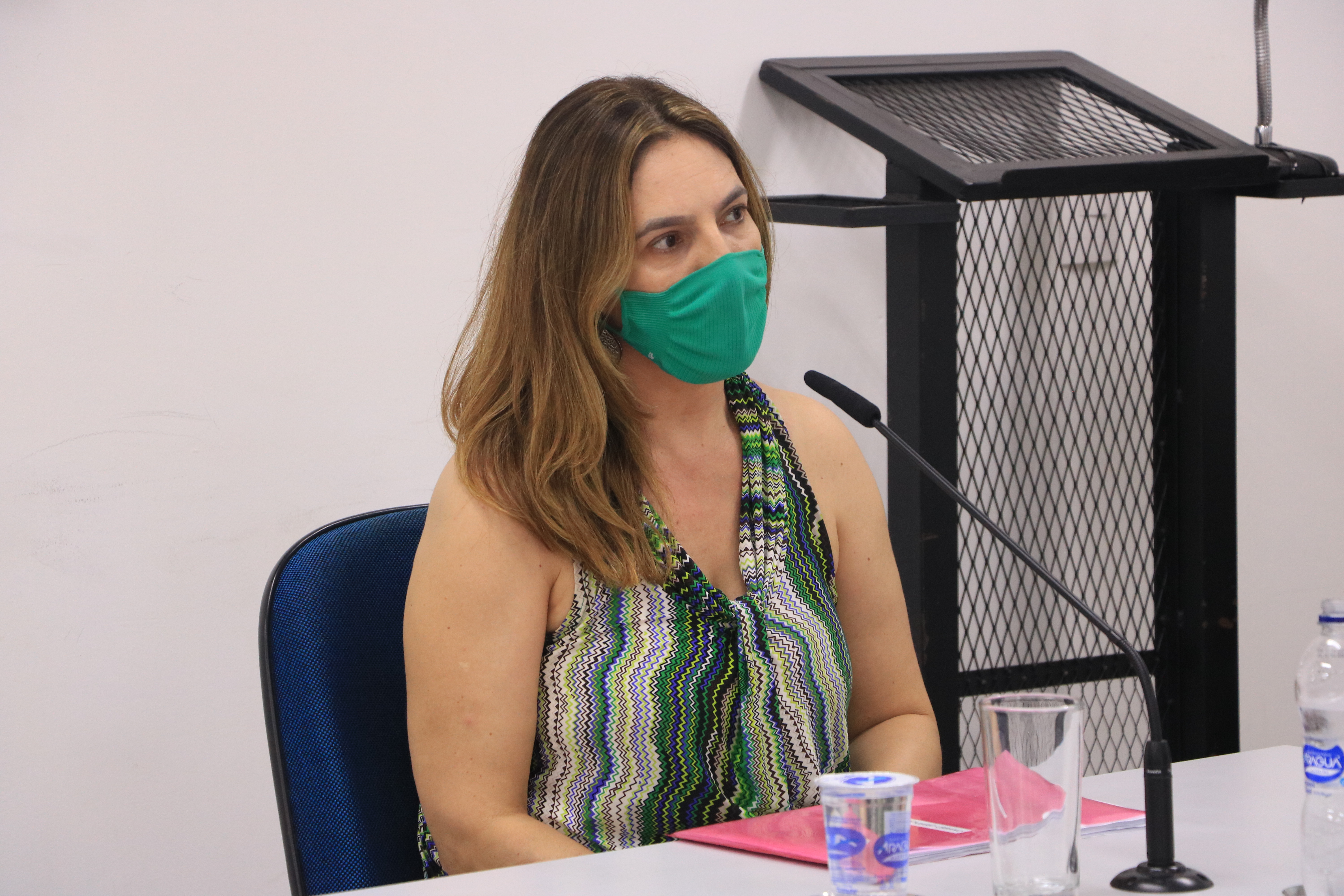 Miriam Wowk esclareceu dúvidas do presidente da CEI